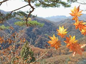 實(shí)時(shí)更新全新馬自達(dá)6價(jià)格大揭秘，詳細(xì)解讀，不容錯(cuò)過(guò)！