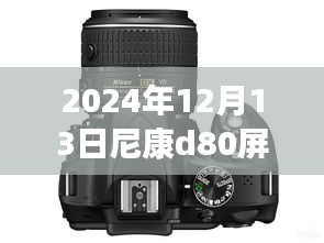 尼康D80相機屏幕實時預覽功能詳解與技術指南，前沿技術與操作指南（2024年12月版）