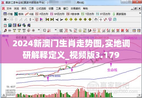 2024新澳門生肖走勢(shì)圖,實(shí)地調(diào)研解釋定義_視頻版3.179
