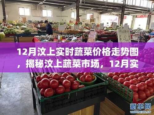 揭秘汶上蔬菜市場(chǎng)，12月實(shí)時(shí)蔬菜價(jià)格走勢(shì)深度解析及趨勢(shì)預(yù)測(cè)
