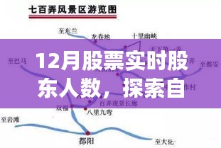 探索自然美景與股市背后的故事，股東人數(shù)揭秘與心靈寧靜之旅