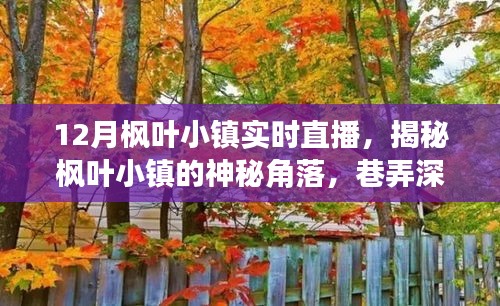 12月楓葉小鎮(zhèn)深度探索，神秘角落與巷弄小店的直播揭秘