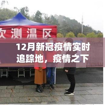 深度解析，12月新冠疫情實(shí)時(shí)追蹤地，疫情之下的觀察與追蹤