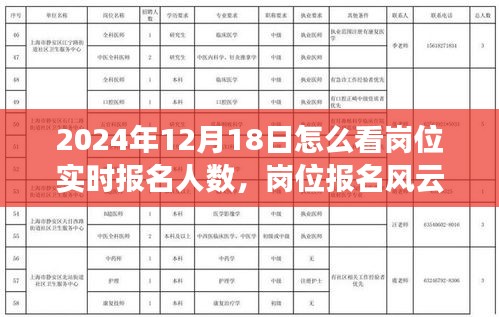 揭秘崗位報名風(fēng)云，崗位實時報名人數(shù)揭秘與報名現(xiàn)場小故事回顧，2024年12月18日深度觀察