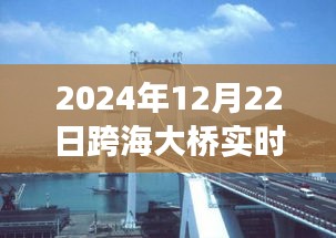 跨海大橋壯麗景色與寧靜之旅，實(shí)時探尋橋梁下的秘密之旅（2024年跨海大橋?qū)崟r報道）