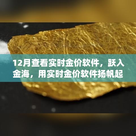 躍入金海，實時金價軟件助你揚帆起航，金銀財富與自信人生的學習之旅
