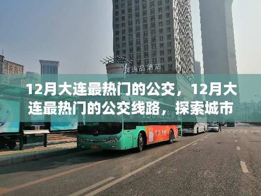 12月大連熱門公交線路探索，城市脈動(dòng)與公交魅力