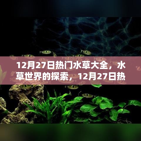 12月27日熱門水草品種深度解析，水草世界的奧秘與觀點碰撞