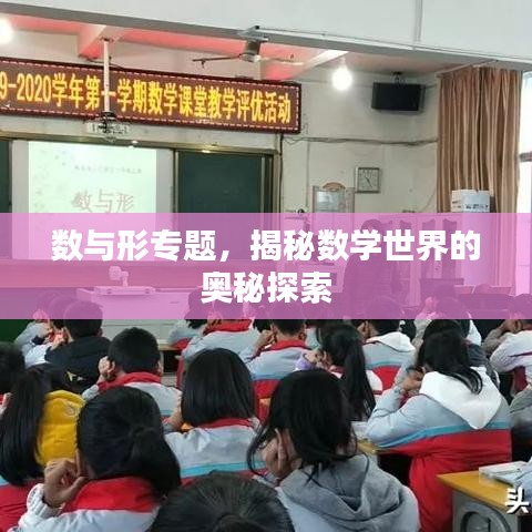 數(shù)與形專題，揭秘?cái)?shù)學(xué)世界的奧秘探索