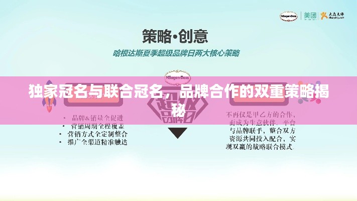 獨(dú)家冠名與聯(lián)合冠名，品牌合作的雙重策略揭秘