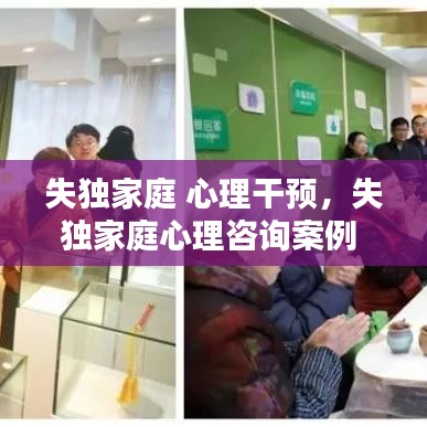 失獨家庭 心理干預(yù)，失獨家庭心理咨詢案例 
