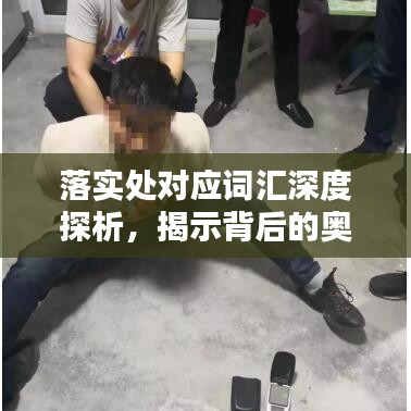 落實處對應詞匯深度探析，揭示背后的奧秘