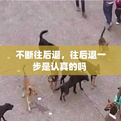 不斷往后退，往后退一步是認真的嗎 