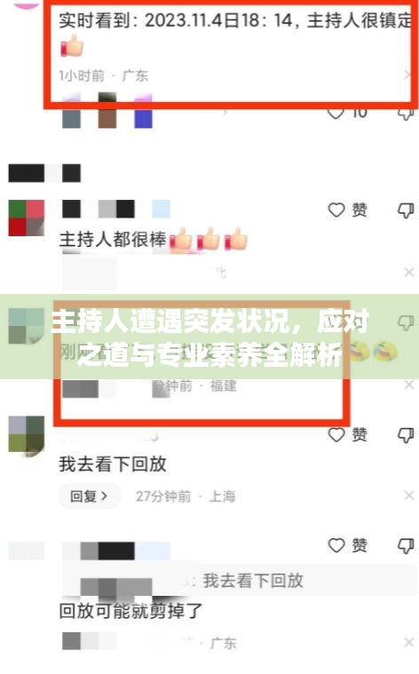 主持人遭遇突發(fā)狀況，應(yīng)對之道與專業(yè)素養(yǎng)全解析