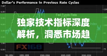 獨(dú)家技術(shù)指標(biāo)深度解析，洞悉市場(chǎng)趨勢(shì)的關(guān)鍵秘籍