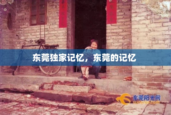 東莞獨家記憶，東莞的記憶 