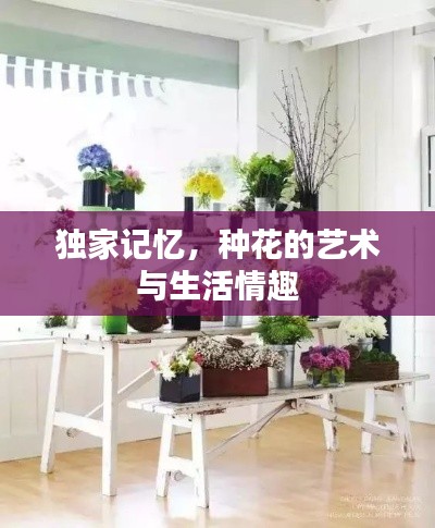 獨(dú)家記憶，種花的藝術(shù)與生活情趣