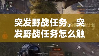 突發(fā)野戰(zhàn)任務(wù)，突發(fā)野戰(zhàn)任務(wù)怎么觸發(fā) 