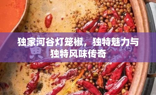 獨(dú)家河谷燈籠椒，獨(dú)特魅力與獨(dú)特風(fēng)味傳奇