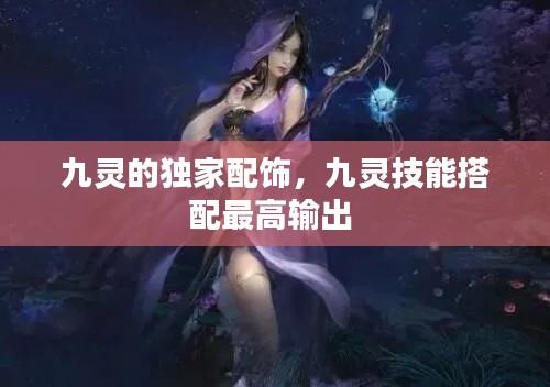九靈的獨家配飾，九靈技能搭配最高輸出 