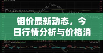 鉬價(jià)最新動(dòng)態(tài)，今日行情分析與價(jià)格消息一網(wǎng)打盡