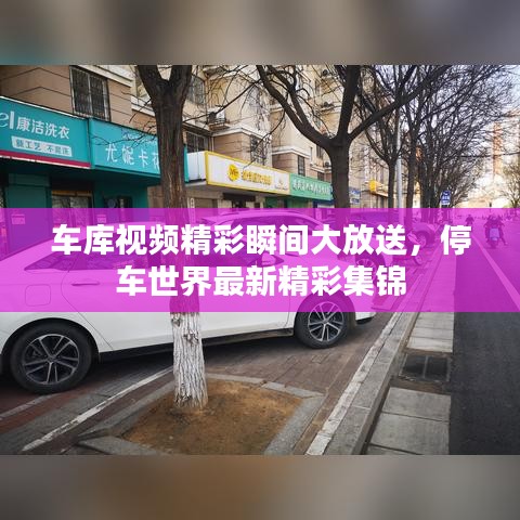 車庫視頻精彩瞬間大放送，停車世界最新精彩集錦
