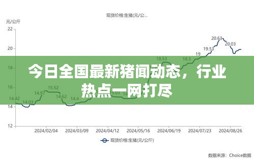 今日全國最新豬聞動(dòng)態(tài)，行業(yè)熱點(diǎn)一網(wǎng)打盡