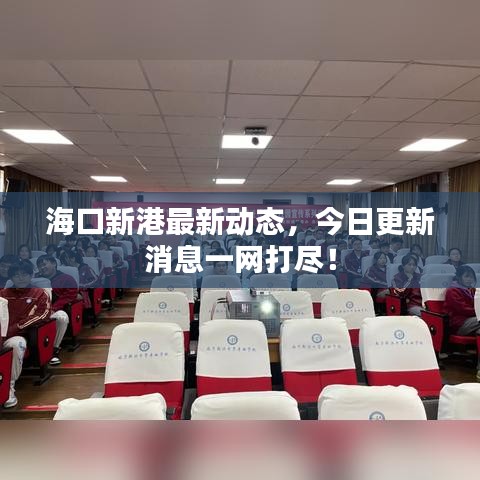 海口新港最新動態(tài)，今日更新消息一網(wǎng)打盡！