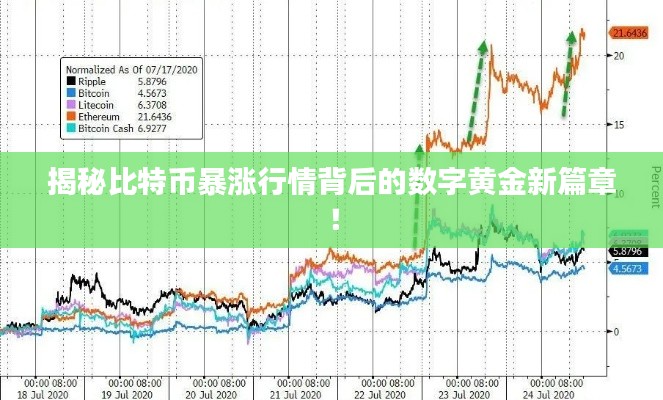揭秘比特幣暴漲行情背后的數(shù)字黃金新篇章！