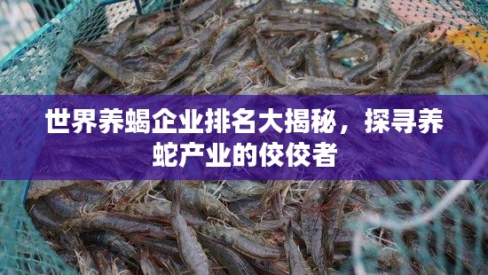 世界養(yǎng)蝎企業(yè)排名大揭秘，探尋養(yǎng)蛇產(chǎn)業(yè)的佼佼者