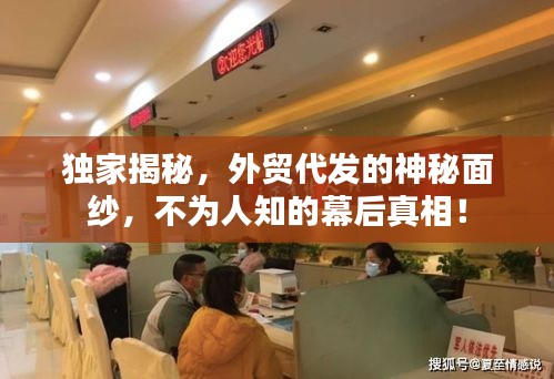 獨(dú)家揭秘，外貿(mào)代發(fā)的神秘面紗，不為人知的幕后真相！