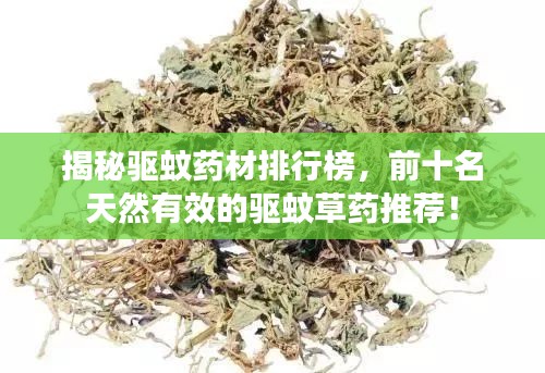 揭秘驅(qū)蚊藥材排行榜，前十名天然有效的驅(qū)蚊草藥推薦！
