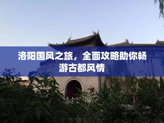 洛陽國風(fēng)之旅，全面攻略助你暢游古都風(fēng)情