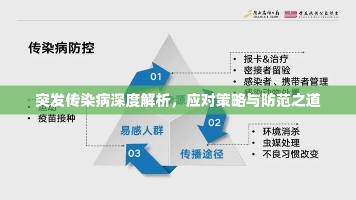 突發(fā)傳染病深度解析，應對策略與防范之道
