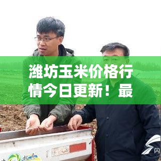 濰坊玉米價(jià)格行情今日更新！最新報(bào)價(jià)一網(wǎng)打盡