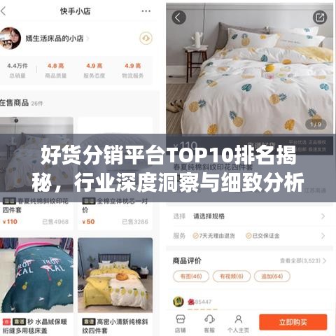 好貨分銷(xiāo)平臺(tái)TOP10排名揭秘，行業(yè)深度洞察與細(xì)致分析