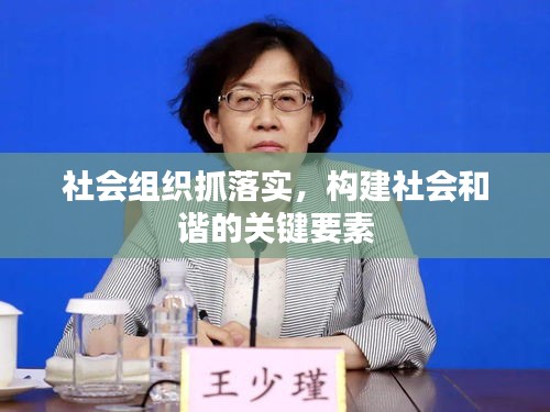 社會(huì)組織抓落實(shí)，構(gòu)建社會(huì)和諧的關(guān)鍵要素