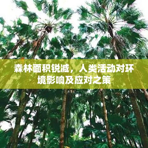 森林面積銳減，人類活動對環(huán)境影響及應對之策