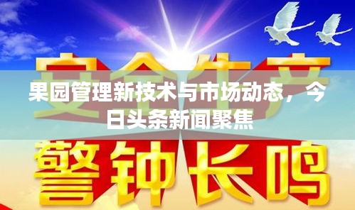 果園管理新技術(shù)與市場動態(tài)，今日頭條新聞聚焦