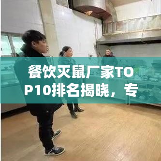 餐飲滅鼠廠家TOP10排名揭曉，專業(yè)守護(hù)餐飲安全，值得信賴的選擇！