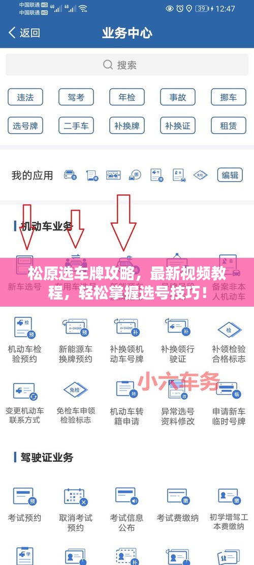 松原選車牌攻略，最新視頻教程，輕松掌握選號技巧！