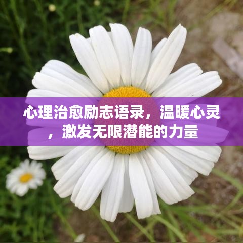 心理治愈勵(lì)志語(yǔ)錄，溫暖心靈，激發(fā)無(wú)限潛能的力量