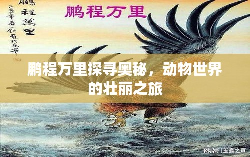 鵬程萬里探尋奧秘，動物世界的壯麗之旅