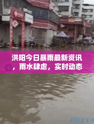 洪陽今日暴雨最新資訊，雨水肆虐，實時動態(tài)關(guān)注！