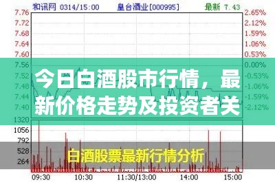 今日白酒股市行情，最新價(jià)格走勢(shì)及投資者關(guān)注焦點(diǎn)