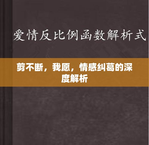 剪不斷，我愿，情感糾葛的深度解析