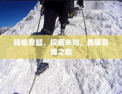 揚(yáng)帆專題，探索未知，勇攀高峰之巔