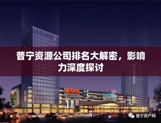普寧資源公司排名大解密，影響力深度探討