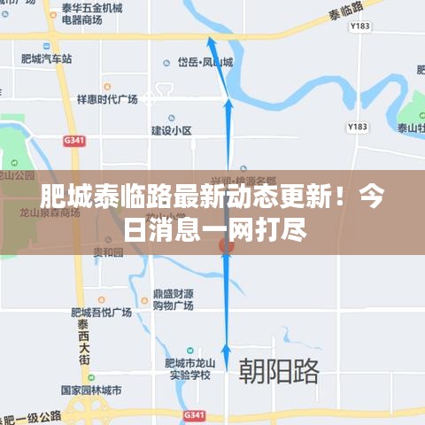 肥城泰臨路最新動(dòng)態(tài)更新！今日消息一網(wǎng)打盡