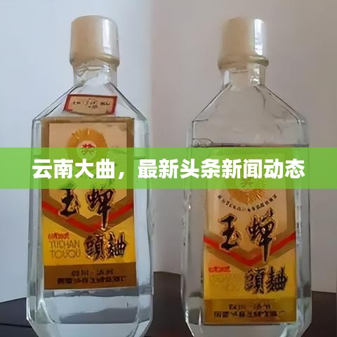 云南大曲，最新頭條新聞動(dòng)態(tài)